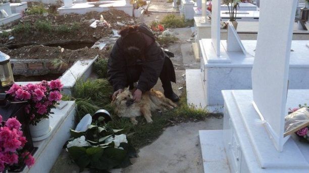 Νεκροταφείο Σχιστού: Επίγεια κόλαση για τ’ αδέσποτα